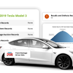 Stay Verified Services Gallery